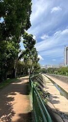 Henry Park (D10), Detached #460921021